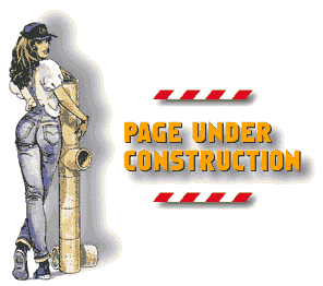 construction2.gif (10613 bytes)