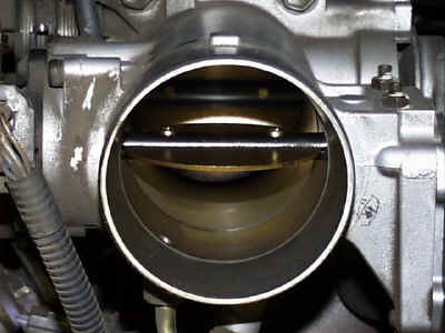 Trac_throttle_plate.jpg (52307 bytes)