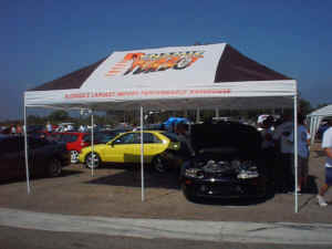 Race002 (2).jpg (114820 bytes)