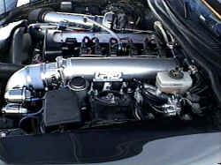 bt31.jpg (35036 bytes)