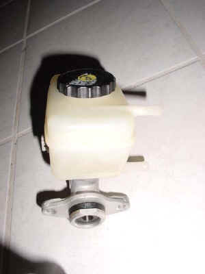 dsc01884.jpg (18942 bytes)