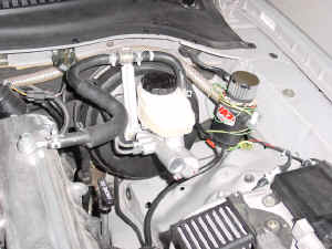 dsc01896.jpg (62014 bytes)